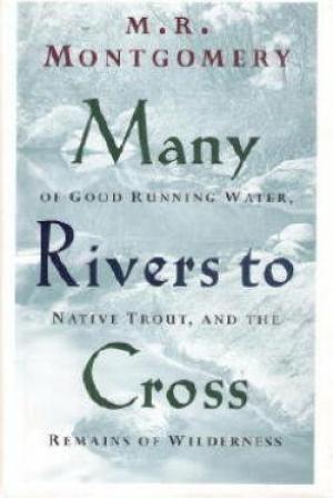 Image for Many Rivers to Cross