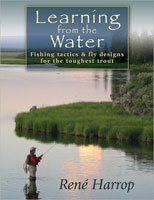Image for Learning from the Water