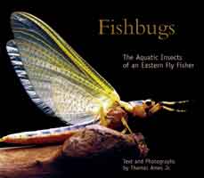 Image for Fishbugs