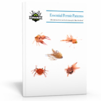 Image for Essential Permit Patterns