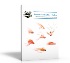 Image for Essential Bonefish Flies- Andros