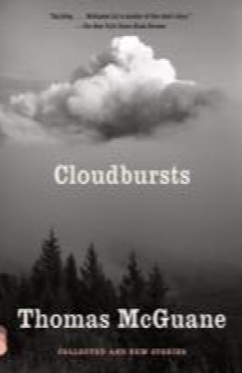 Image for Cloudbursts: Collected and New Stories