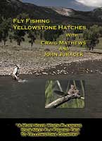 Image for Fly Fishing Yellowstone Hatches (DVD)