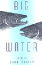 Image for Big Water