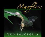 Image for Mayflies